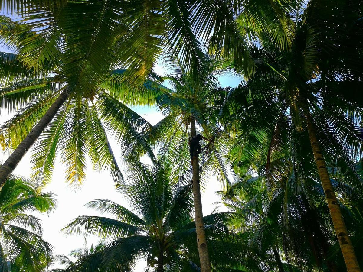 Siargao Residency Leilighet Union  Eksteriør bilde