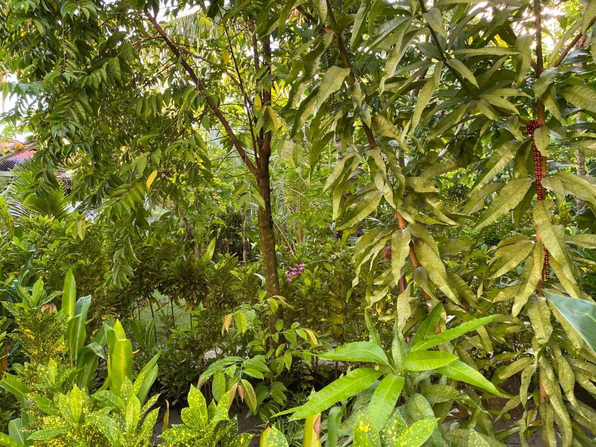 Siargao Residency Leilighet Union  Eksteriør bilde